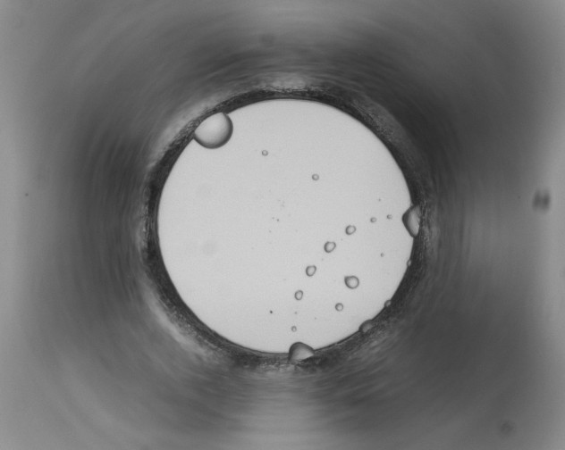 X0000112950728200910051218