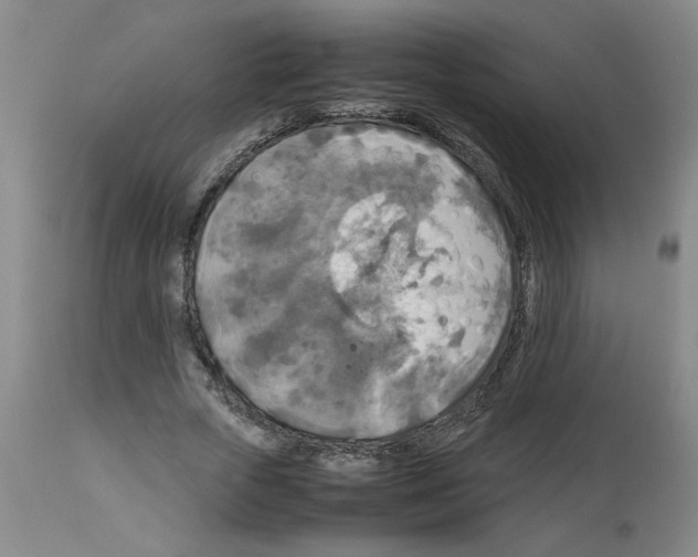 X0000112950729200910051218