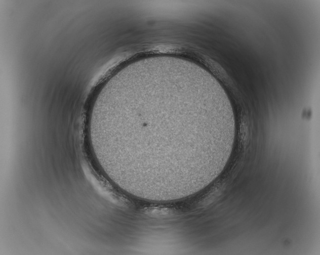 X0000112950730200910051218