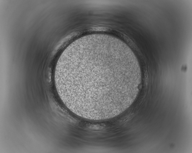 X0000112950731200910051218