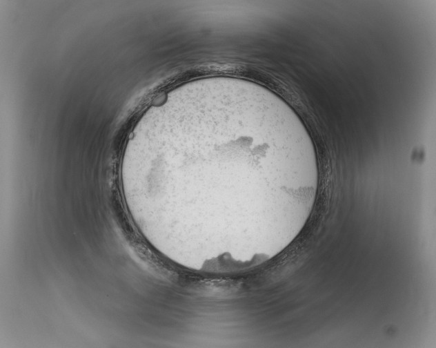 X0000112950736200910051218