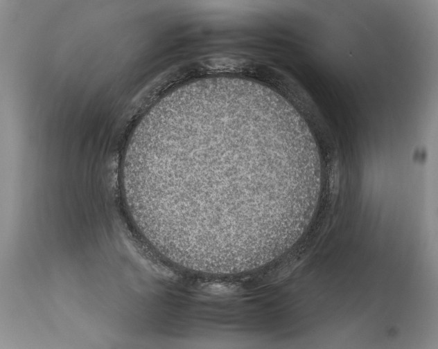 X0000112950737200910051218