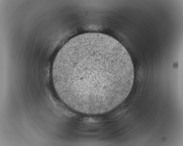 X0000112950739200910051218