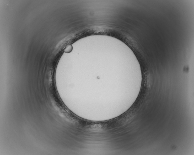 X0000112950740200910051218