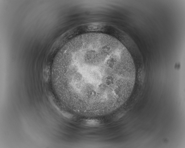 X0000112950741200910051218