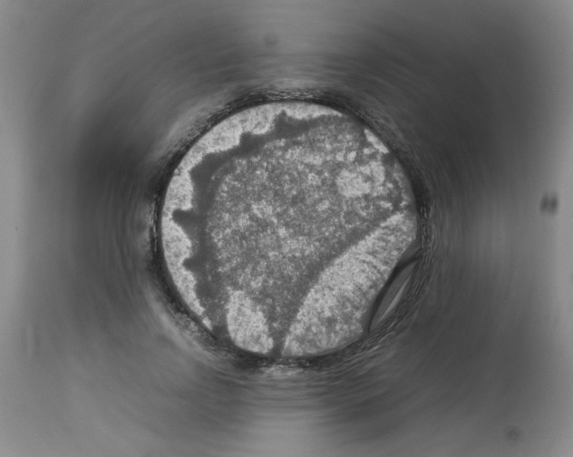 X0000112950742200910051218