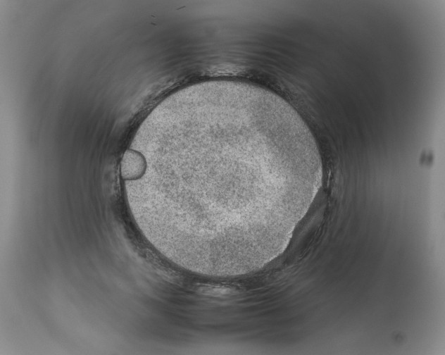 X0000112950743200910051218