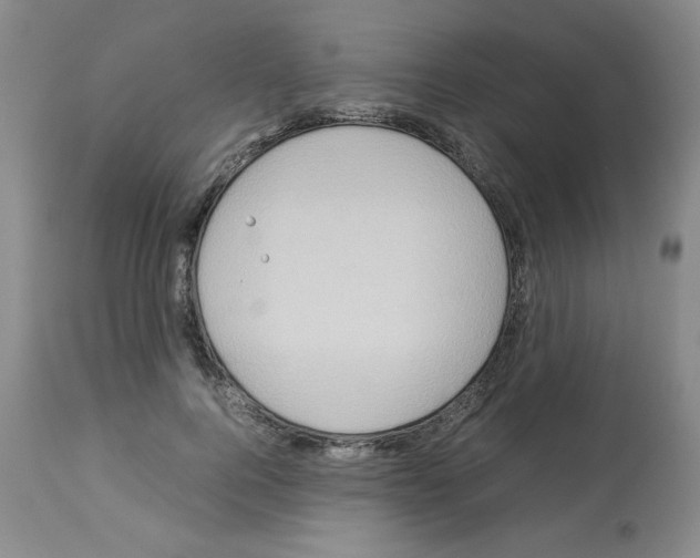 X0000112950744200910051218