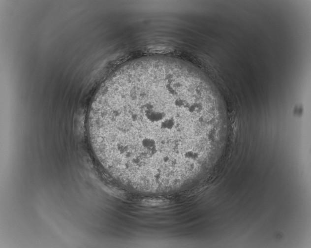 X0000112950745200910051218