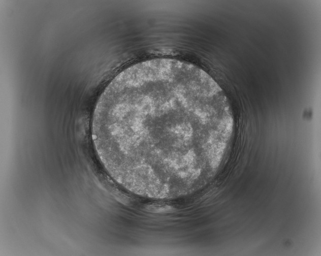 X0000112950747200910051218