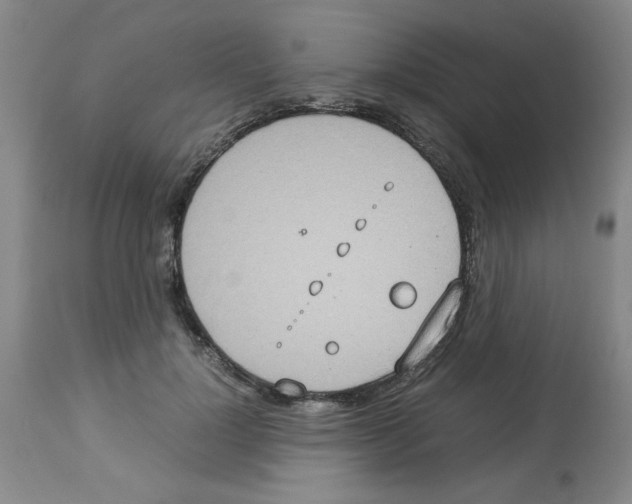 X0000112950748200910051218