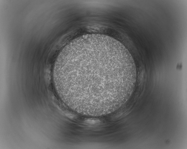 X0000112950749200910051218