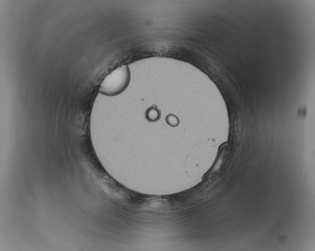 X0000112950750200910051218