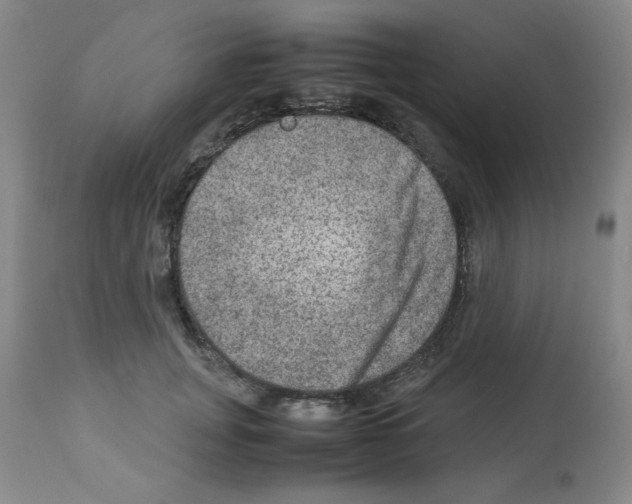 X0000112950751200910051218