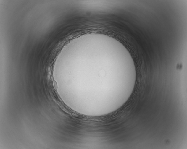 X0000112950752200910051218