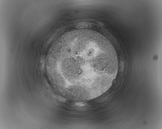 X0000112950753200910051218