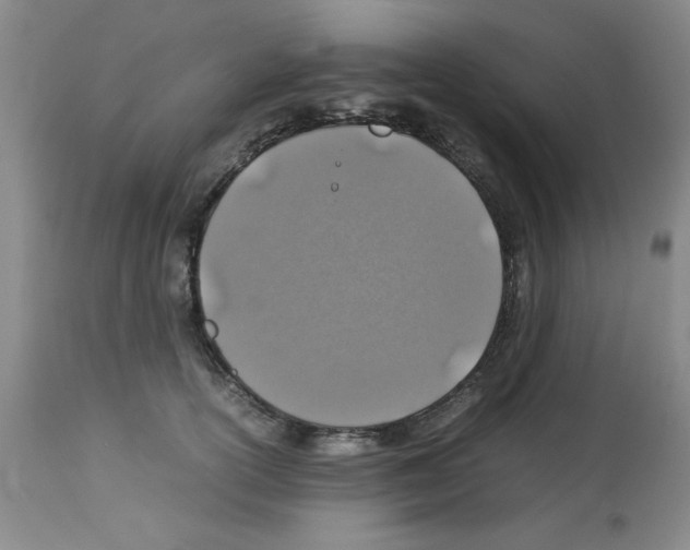 X0000112950754200910051218