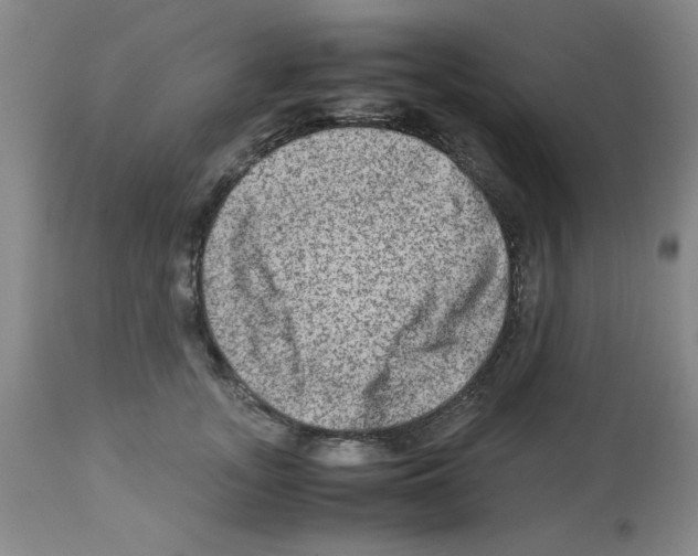 X0000112950755200910051218