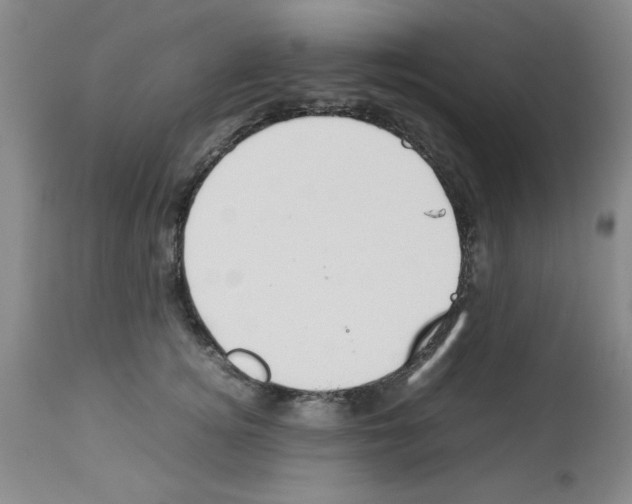 X0000112950756200910051218