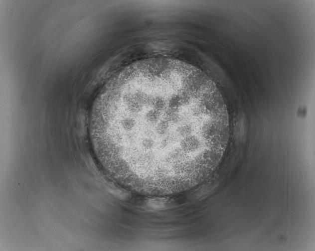 X0000112950757200910051218