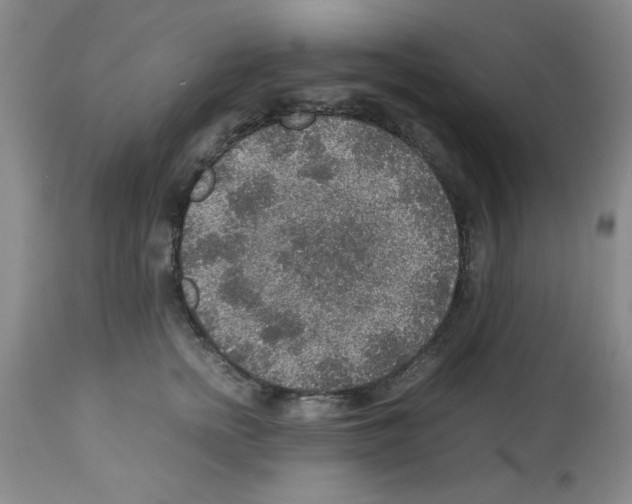 X0000112950758200910051218