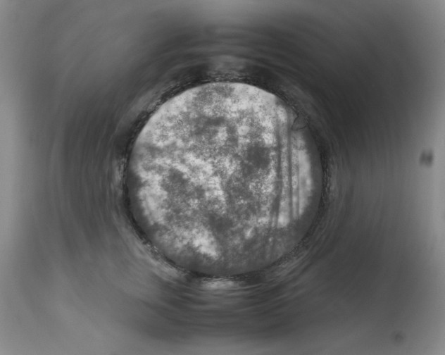 X0000112950759200910051218