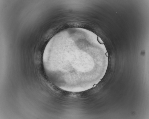 X0000112950760200910051219