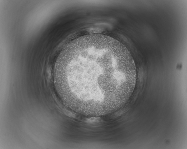X0000112950761200910051219