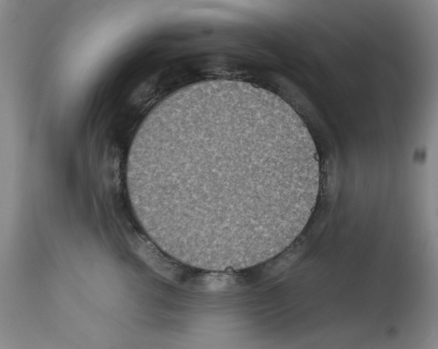 X0000112950762200910051219