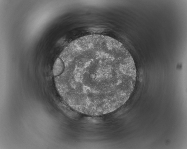 X0000112950763200910051219