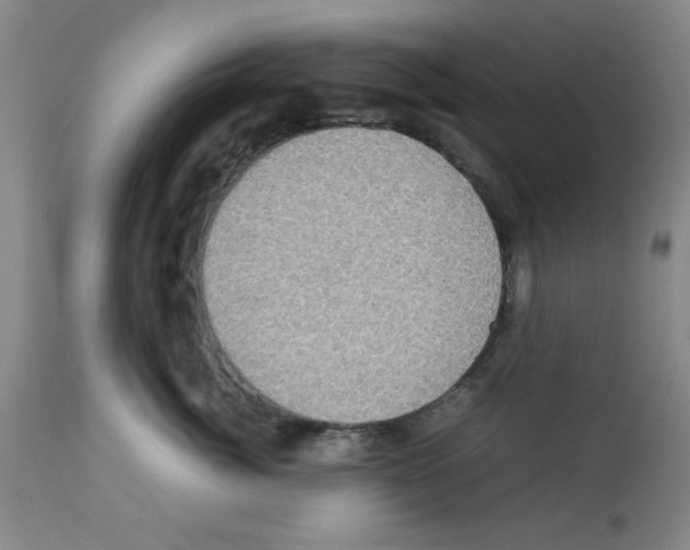X0000112950764200910051219