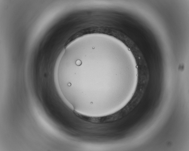 X0000112950766200910051219