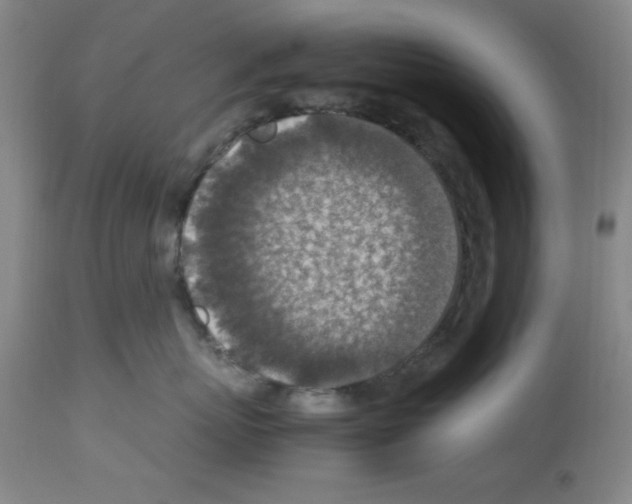 X0000112950767200910051219
