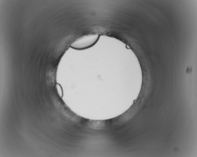 X0000112950768200910051219