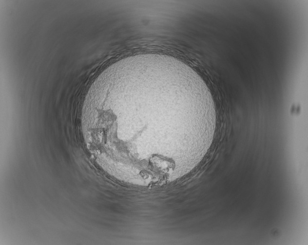 X0000112950769200910051218