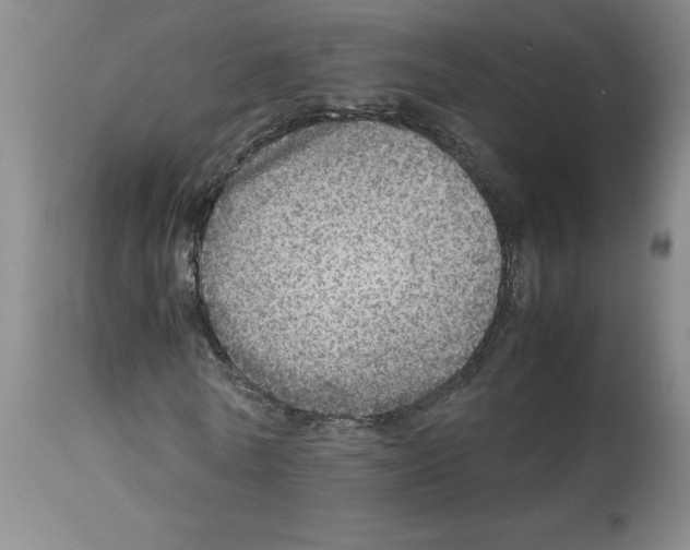 X0000112950770200910051218