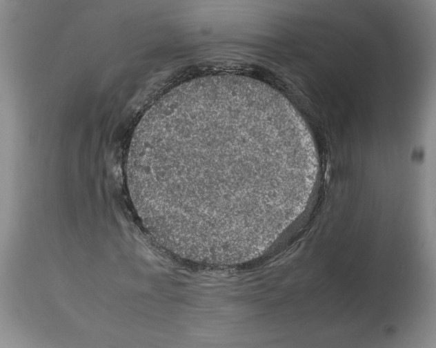 X0000112950771200910051218