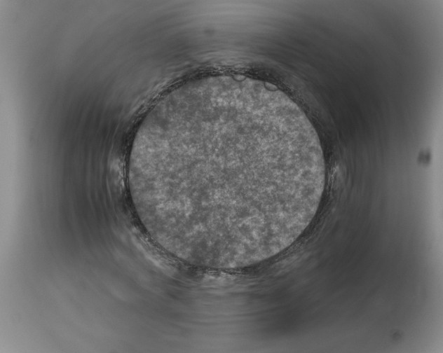 X0000112950772200910051218
