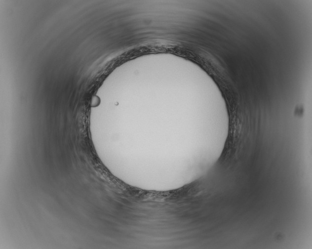 X0000112950773200910051218