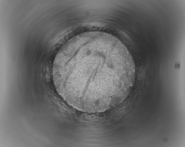 X0000112950774200910051218