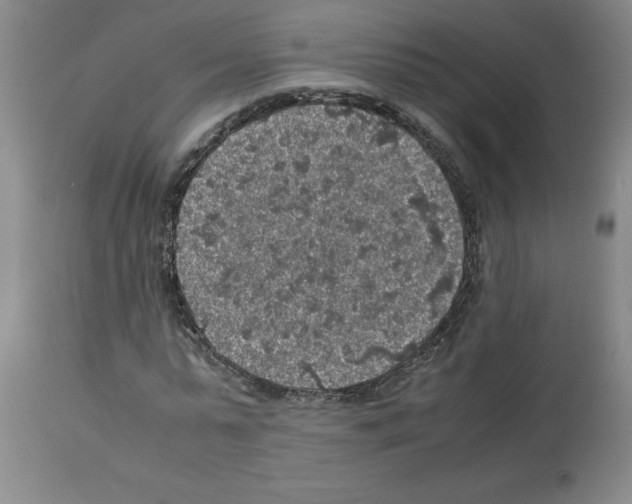 X0000112950775200910051218