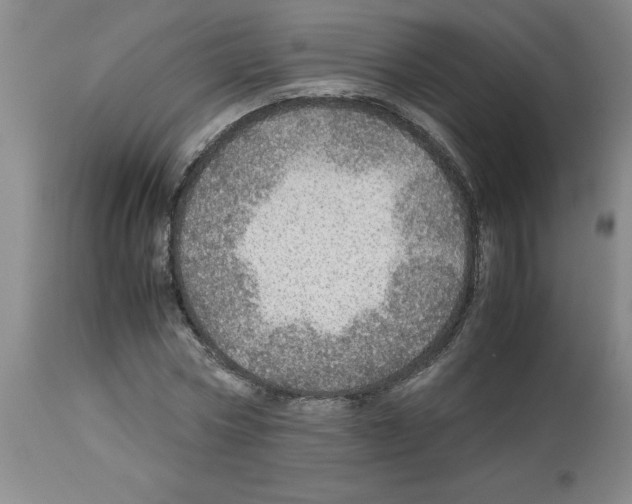 X0000112950778200910051218