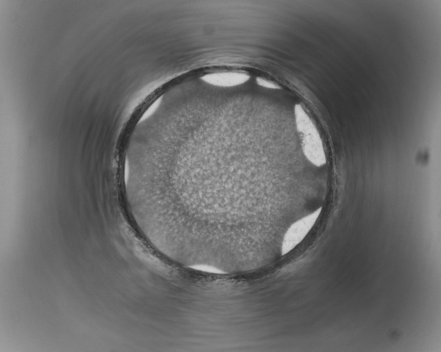 X0000112950779200910051218
