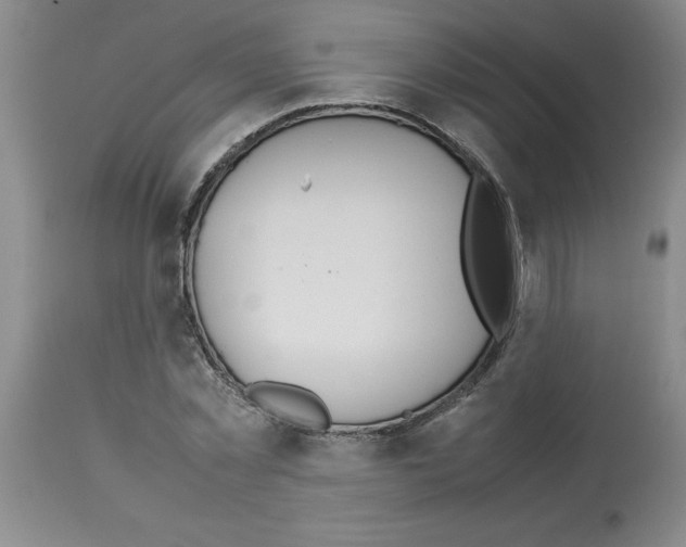 X0000112950781200910051218
