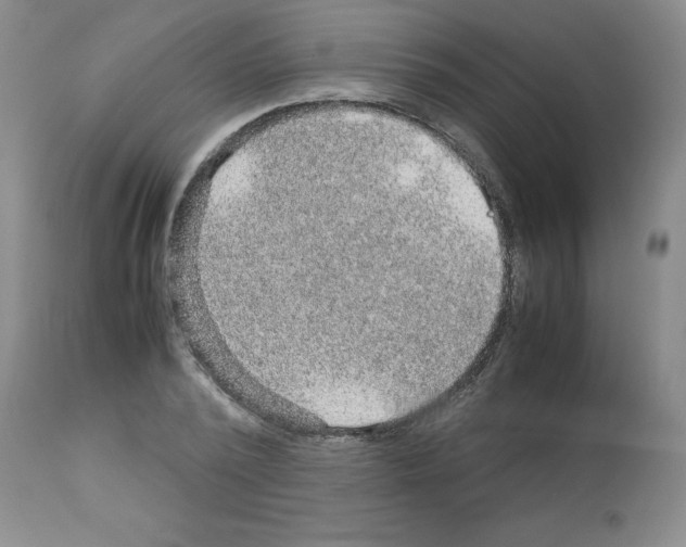 X0000112950784200910051218
