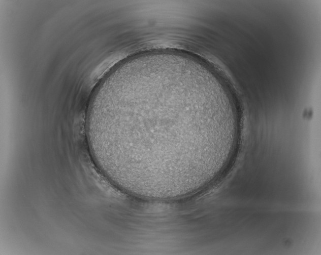 X0000112950785200910051218