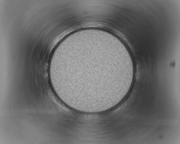 X0000112950786200910051218