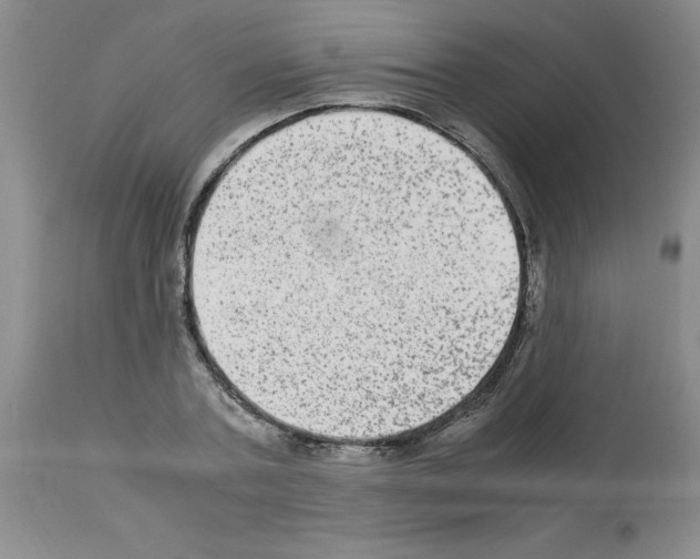 X0000112950787200910051218