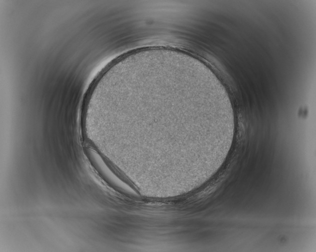 X0000112950788200910051218