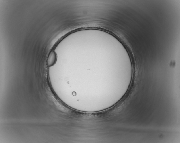 X0000112950789200910051218